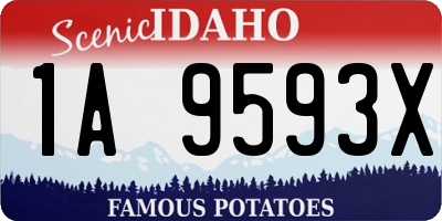 ID license plate 1A9593X