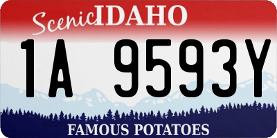 ID license plate 1A9593Y