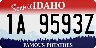 ID license plate 1A9593Z