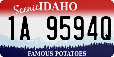 ID license plate 1A9594Q