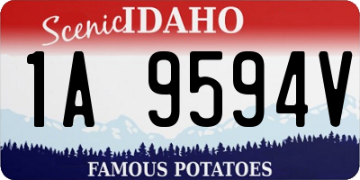 ID license plate 1A9594V