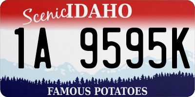 ID license plate 1A9595K