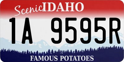 ID license plate 1A9595R