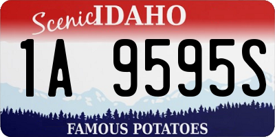 ID license plate 1A9595S