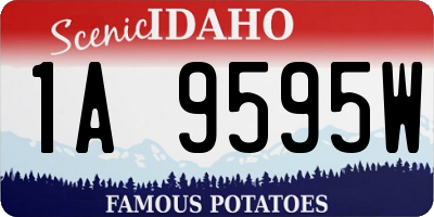 ID license plate 1A9595W