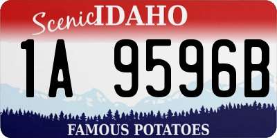 ID license plate 1A9596B