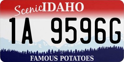 ID license plate 1A9596G