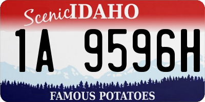 ID license plate 1A9596H