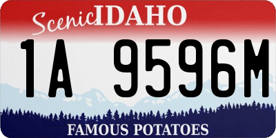 ID license plate 1A9596M