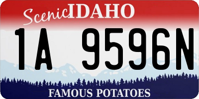 ID license plate 1A9596N
