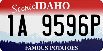 ID license plate 1A9596P