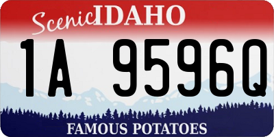ID license plate 1A9596Q
