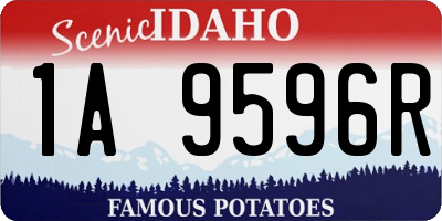 ID license plate 1A9596R