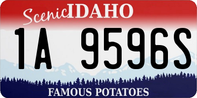 ID license plate 1A9596S