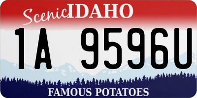 ID license plate 1A9596U