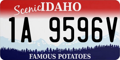 ID license plate 1A9596V