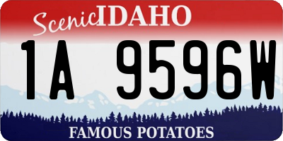 ID license plate 1A9596W