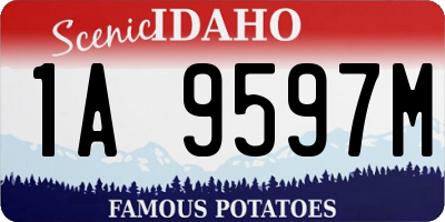 ID license plate 1A9597M
