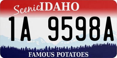 ID license plate 1A9598A