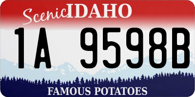 ID license plate 1A9598B