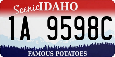 ID license plate 1A9598C