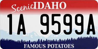 ID license plate 1A9599A