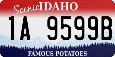 ID license plate 1A9599B