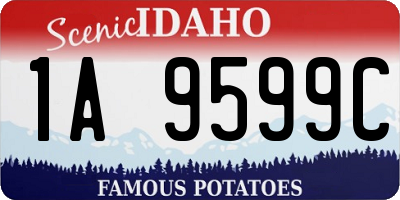 ID license plate 1A9599C