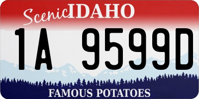 ID license plate 1A9599D