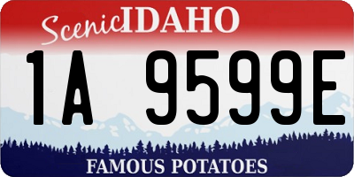 ID license plate 1A9599E