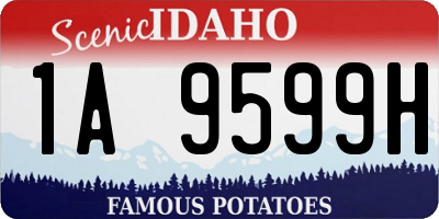 ID license plate 1A9599H