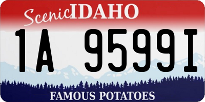 ID license plate 1A9599I