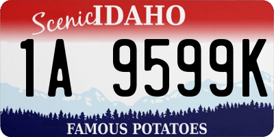 ID license plate 1A9599K