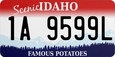 ID license plate 1A9599L