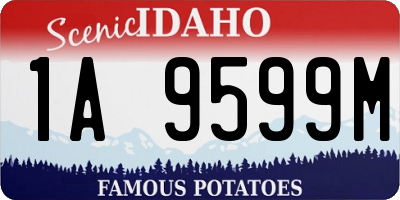 ID license plate 1A9599M