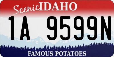 ID license plate 1A9599N