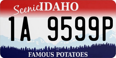 ID license plate 1A9599P