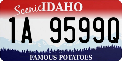 ID license plate 1A9599Q