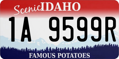 ID license plate 1A9599R