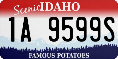 ID license plate 1A9599S