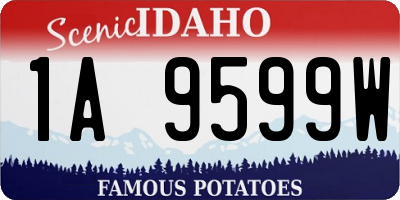 ID license plate 1A9599W