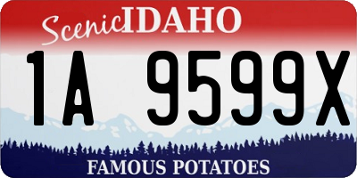 ID license plate 1A9599X