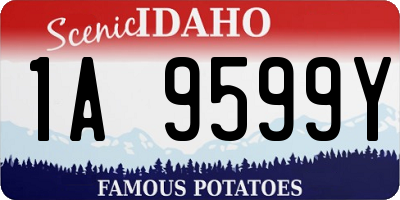 ID license plate 1A9599Y
