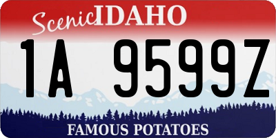 ID license plate 1A9599Z