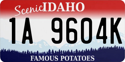 ID license plate 1A9604K