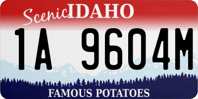 ID license plate 1A9604M