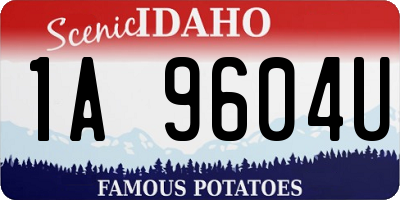 ID license plate 1A9604U
