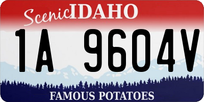 ID license plate 1A9604V