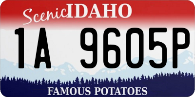 ID license plate 1A9605P