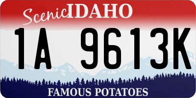 ID license plate 1A9613K
